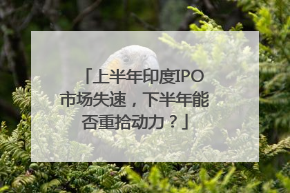 上半年印度IPO市场失速，下半年能否重拾动力？