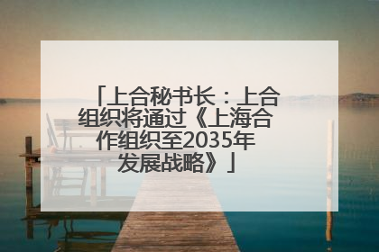 上合秘书长：上合组织将通过《上海合作组织至2035年发展战略》