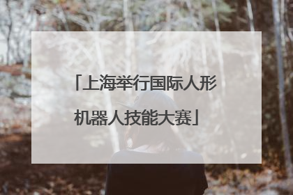 上海举行国际人形机器人技能大赛