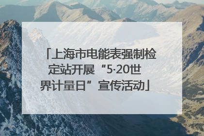 上海市电能表强制检定站开展“5·20世界计量日”宣传活动