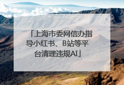 上海市委网信办指导小红书、B站等平台清理违规AI