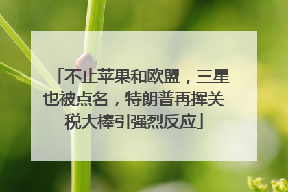 不止苹果和欧盟，三星也被点名，特朗普再挥关税大棒引强烈反应
