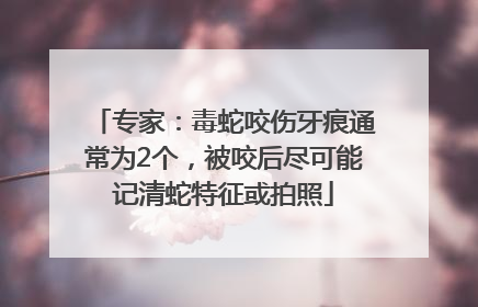 专家：毒蛇咬伤牙痕通常为2个，被咬后尽可能记清蛇特征或拍照