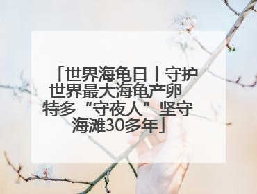 世界海龟日丨守护世界最大海龟产卵 特多“守夜人”坚守海滩30多年