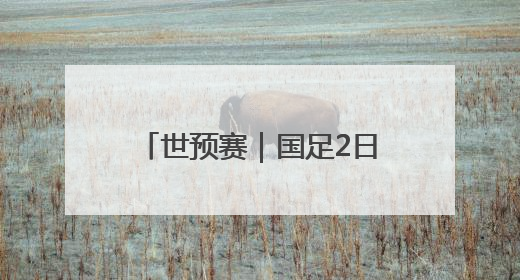 世预赛｜国足2日下午出征印尼，刘若钒因伤落选大名单