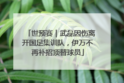 世预赛｜武磊因伤离开国足集训队，伊万不再补招顶替球员