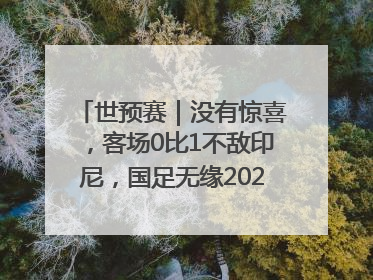 世预赛｜没有惊喜，客场0比1不敌印尼，国足无缘2026年世界杯