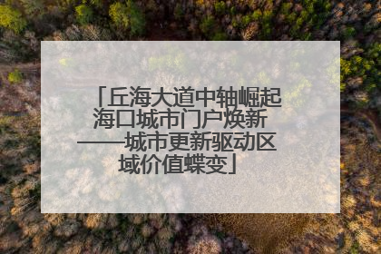 丘海大道中轴崛起 海口城市门户焕新——城市更新驱动区域价值蝶变