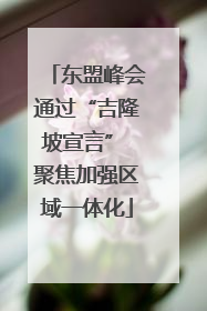 东盟峰会通过“吉隆坡宣言” 聚焦加强区域一体化