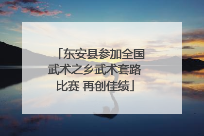 东安县参加全国武术之乡武术套路比赛 再创佳绩