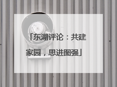 东湖评论：共建家园，思进图强