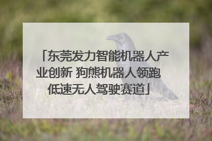 东莞发力智能机器人产业创新 狗熊机器人领跑低速无人驾驶赛道