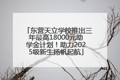 东营天立学校推出三年最高18000元助学金计划！助力2025级新生扬帆起航
