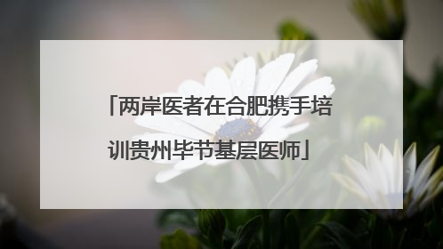 两岸医者在合肥携手培训贵州毕节基层医师