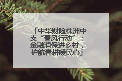 中华财险株洲中支“春风行动”：金融消保进乡村，护航春耕暖民心