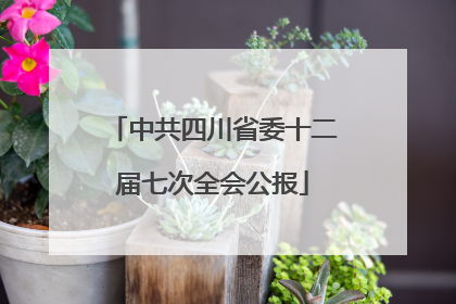 中共四川省委十二届七次全会公报