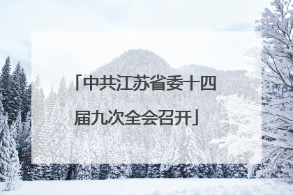 中共江苏省委十四届九次全会召开