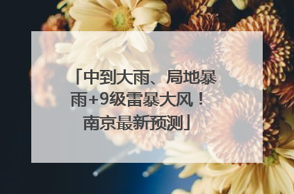中到大雨、局地暴雨+9级雷暴大风！南京最新预测