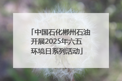 中国石化郴州石油开展2025年六五环境日系列活动