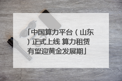 中国算力平台（山东）正式上线 算力租赁有望迎黄金发展期