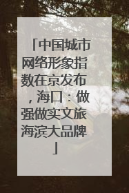 中国城市网络形象指数在京发布，海口：做强做实文旅海滨大品牌