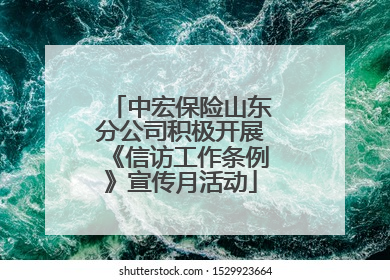 中宏保险山东分公司积极开展《信访工作条例》宣传月活动