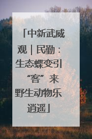 中新武威观｜民勤：生态蝶变引“客”来 野生动物乐逍遥