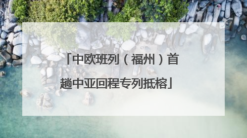 中欧班列（福州）首趟中亚回程专列抵榕