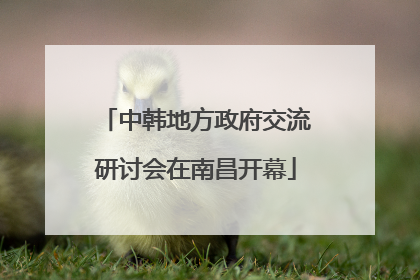 中韩地方政府交流研讨会在南昌开幕