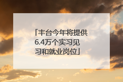 丰台今年将提供6.4万个实习见习和就业岗位