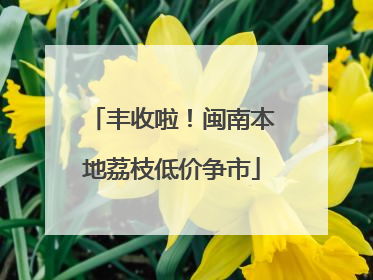 丰收啦！闽南本地荔枝低价争市