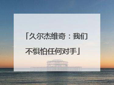 久尔杰维奇：我们不惧怕任何对手