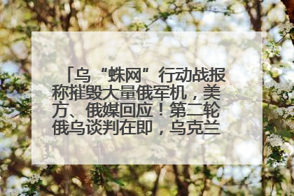 乌“蛛网”行动战报称摧毁大量俄军机，美方、俄媒回应！第二轮俄乌谈判在即，乌克兰提出三大诉求
