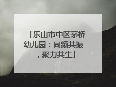 乐山市中区茅桥幼儿园：同频共振，聚力共生