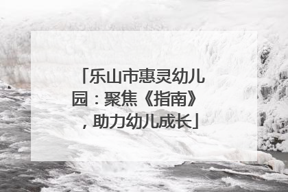 乐山市惠灵幼儿园：聚焦《指南》，助力幼儿成长