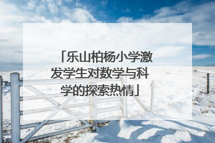 乐山柏杨小学激发学生对数学与科学的探索热情