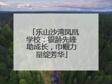 乐山沙湾凤凰学校：银龄先锋助成长，巾帼力量绽芳华