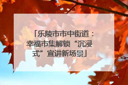 乐陵市市中街道：幸福市集解锁“沉浸式”宣讲新场景