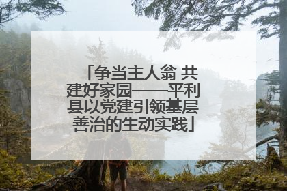 争当主人翁 共建好家园——平利县以党建引领基层善治的生动实践