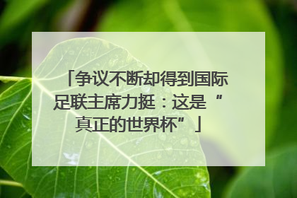 争议不断却得到国际足联主席力挺：这是“真正的世界杯”