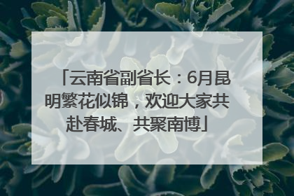 云南省副省长：6月昆明繁花似锦，欢迎大家共赴春城、共聚南博
