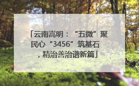 云南嵩明：“五微”聚民心“3456”筑基石，精治善治谱新篇