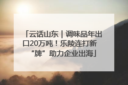 云话山东｜调味品年出口20万吨！乐陵连打新“牌”助力企业出海
