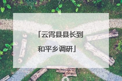 云霄县县长到和平乡调研