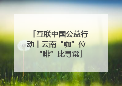 互联中国公益行动丨云南“咖”位“啡”比寻常