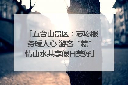 五台山景区：志愿服务暖人心 游客“粽”情山水共享假日美好