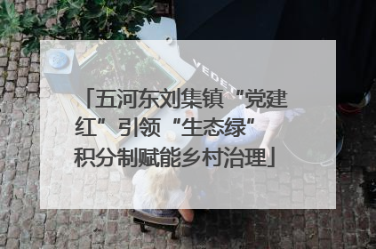 五河东刘集镇“党建红”引领“生态绿” 积分制赋能乡村治理