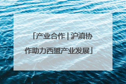 产业合作 | 沪滇协作助力西盟产业发展