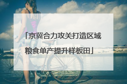京冀合力攻关打造区域粮食单产提升样板田