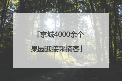 京城4000余个果园迎接采摘客